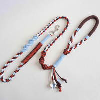 Ensemble laisse et collier pour chiot en macramé doux en coton tressé fait main, durable et esthétique, accessoire pour animaux de compagnie