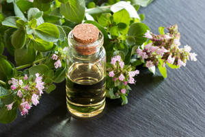 Aceite Esencial de Orégano para el Crecimiento del Cabello, Cuidado de la Piel y Masajes Corporales para Terapia de Spa, Relajación, Fortalecimiento del Cabello y Cuidado Diario - Product Image 5
