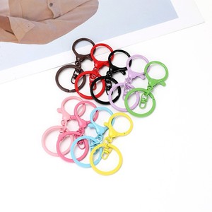 Metal Lobster Clasp Keychain <b>Set</b> Zinc Alloy Round Baking <b>Paint</b> Colorful For DIY Jewelry Accessories - Product Image 4