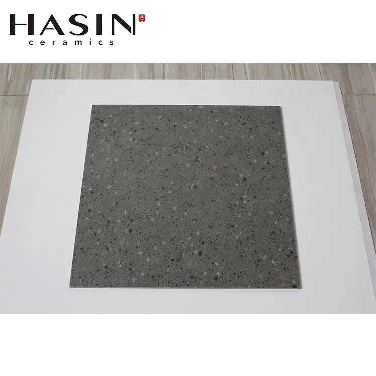 Hasin 600x600cm Cheap Heat Insulation Rustic Glazed Matt Finish Anti Slip Flooring Hover Board Tile