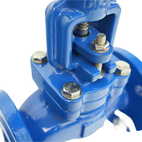Vanne à soupape manuelle en fonte ductile à brides PN16 DN125, personnalisée OEM/ODM pour le contrôle de l'eau