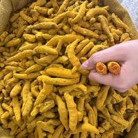 Curcuma Séché de Haute Qualité, Bâtonnets de Curcuma Séché, Épice de Curcuma, Curcuma Gingembre