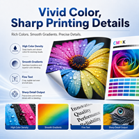 Encre éco-solvant 1L CMYK pour impression numérique sur film rétroéclairé pour I3200 XP600 DX5 DX7