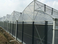 Serre agricole à dents de scie à faible coût, serre polyfilm multi-envergure à vendre