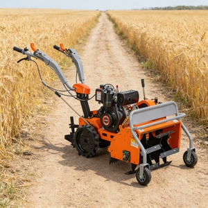 Motoculteur de Verger <span class=keywords><strong>Mini</strong></span> 8HP 178F Diesel avec Broyeur, Transmission à Lanceur, Personnalisé, Durable, Efficace et Haute Performance - Product Image 1