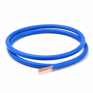 <span class=keywords><strong>สาย</strong></span><span class=keywords><strong>ไฟ</strong></span>ฟ้า BVR 1.<span class=keywords><strong>5</strong></span> มม. <span class=keywords><strong>ราคา</strong></span>โรงงานหัวฉี ขายส่ง <span class=keywords><strong>สาย</strong></span>ทองแดงแบบยืดหยุ่นสำหรับงานอาคาร 450/750V สำหรับระบบจ่าย<span class=keywords><strong>ไฟ</strong></span> - Product Image 2