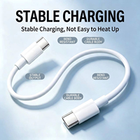 Câble USB C vers USB C 20W, câble de charge rapide USB, câble de données Type C, double Type C pour smartphone, câble de charge de téléphone, vente en gros OEM