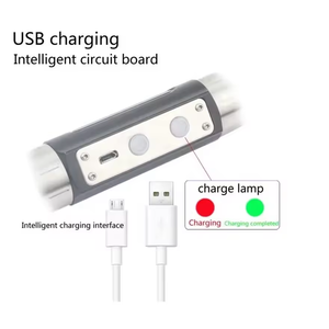 6 in 1ジェムストーントーチテスター懐中電灯ホワイトイエローブルーレッド識別365nm 395nm UV 6ライトUSB-C宝石懐中電灯 - Product Image 3