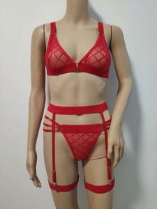 Conjunto de Lencería Sexy con Sujetador y Braguita 2026, Tallas Grandes, Ropa Interior Femenina - Product Image 5