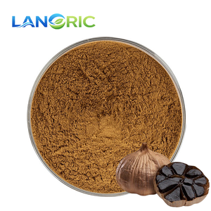 Extrato de Alho Preto em Pó de Alta Qualidade, Polifenóis, Extrato de Alho Preto a Granel - Product Image 3