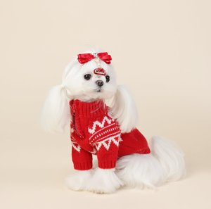ZHONGYA Accesorios para Mascotas, Ropa para <span class=keywords><strong>Perros</strong></span>, Suéter <span class=keywords><strong>de</strong></span> Lana a Cuadros Rojos <span class=keywords><strong>de</strong></span> Año Nuevo, Suéteres Fair Isle para <span class=keywords><strong>Perros</strong></span> Más Vendidos <span class=keywords><strong>de</strong></span> Otoño e Invierno - Product Image 5