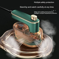 Fer à Vapeur Micro Professionnel 110V/220V, Appareil à Repasser Portable et Tenue Vapeur à Main, pour Vêtements, Maison et Voyage