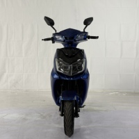 Scooter électrique monoplace à deux roues, 1000W, 150kg, longue autonomie, batterie amovible, frein à disque sur roue avant, phare LED