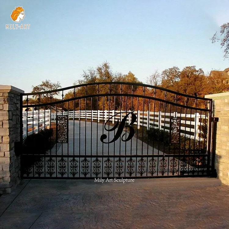 Puerta de hierro forjado, diseño barato, arco de jardín, puertas francesas