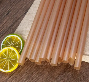 Paja Biodegradable de <span class=keywords><strong>Agave</strong></span>, Bagazo de Caña de Azúcar, Respetuoso con el Medio Ambiente, Paja Desechable para Beber Caña de Azúcar - Product Image 5