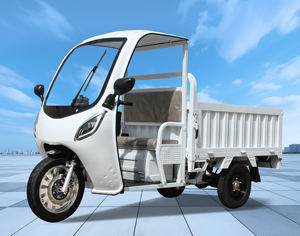 <span class=keywords><strong>Triciclo</strong></span> eléctrico <span class=keywords><strong>de</strong></span> <span class=keywords><strong>carga</strong></span> <span class=keywords><strong>de</strong></span> tamaño <span class=keywords><strong>mediano</strong></span> 72V 1500W con cabina cubierta para entrega en la ciudad - Product Image 1