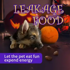 2024 AFP 1 karton cadılar bayramı serisi Pet köpekler kediler oyuncaklar köpek gıcırtılı çiğneme halat oyuncak kedi Teaser değnek oyuncak köpekler ve kediler için oynarken - Product Image 3