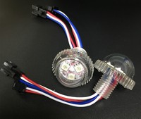 Precio de fábrica IP20 Interior UCS1903 RGB Pixel LED Point Light para construir decoraciones navideñas durante todo el año