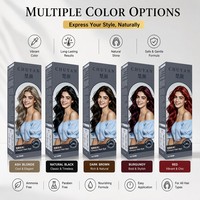 Shampoo colorant capillaire semi-permanent blond cendré à double pompe, professionnel, vente en gros OEM, à base de plantes, sans ammoniaque, nourrissant, très demandé