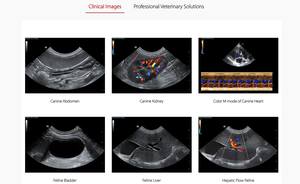 Mindray Vetus 7 Sistema de ultrasonido de diagnóstico veterinario 3D 4d Ultrasonido Imagen Color <span class=keywords><strong>Doppler</strong></span> Máquina - Product Image 6