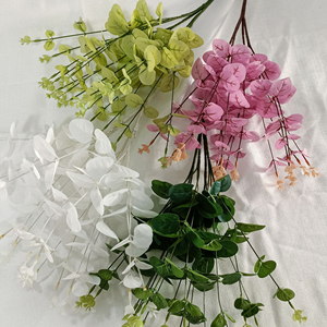 PT-PL018 Vente en gros de feuilles d'<span class=keywords><strong>eucalyptus</strong></span> pour arrangements floraux, centres de table, fleurs séchées, plantes, feuilles préservées, hortensia - Product Image 3