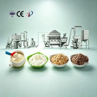 Ligne de production de fécule modifiée de qualité alimentaire efficace, machine à grains en acier inoxydable, extrudeuse de fécule pré-gélatinisée entièrement automatique