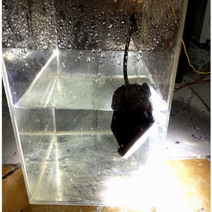 2020 Phụ Tùng Ô Tô 9Inch <span class=keywords><strong>360W</strong></span> Dẫn Lái Xe Ánh Sáng Vuông Tại Chỗ Công Suất Cao Dẫn Ánh Sáng Làm Việc Cho 4X4 Off Road SUV 4WD Wrangler - Product Image 5