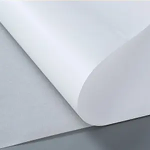 聚丙烯合成纸合成卷防水哑光聚丙烯纸自粘
