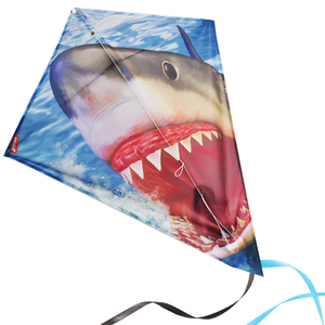 2025 nouveau multi-modèle longue queue diamant cerf-volant cadeau pour enfants en plein air volant jouet dinosaure Pirates de Weifang - Product Image 6