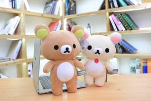 2022 auf Lager rilakkuma Plüsch Stofftier Spielzeug Mini niedlich 10cm 18cm Geschenk für Baby Kinder - Product Image 2