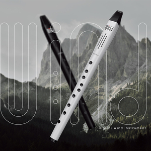 Midiplus Wind 2 Mini flauto elettrico digitale e sassofono elettronico accessorio tipo-C interfaccia strumento musicale cerbottana - Product Image 4