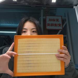 Fabriek Directe Verkoop Auto Luchtfilter Oe 06c133843 06c 133 843 06c133843 Voor Audi A4 B5 B6 B7 - Product Image 2