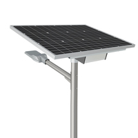 Ultra brillante Solar Led Bombilla Farola 80W Bronce Estiramiento Aluminio 4000K 5050 LED Farola Iluminación de carretera rural