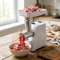 Hachoir à viande électrique à interrupteur unique 600 W max, moteur en cuivre et aluminium, 3 plaques, tube à saucisses, fonction inversée, pour usage domestique