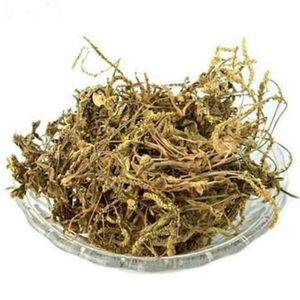 Planta ginis <span class=keywords><strong>PSYLLIUM</strong></span> Wegerich-Extrakt Aucubin 5:1 10:1, 20:1 Flohsamen-Extrakt Flohs amen P.E. - Product Image 5