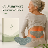 Patch de Moxibustion Auto-Chauffant Qi Ai pour Soulager les Douleurs Musculaires et la Raideur – Usage Corporel – Certifié CE Classe I – Fabrication OEM