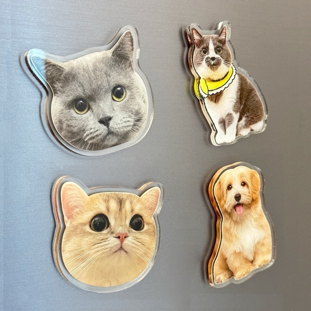 PVC High-End Magnetic Refrigerator Sticker Customized Photo Pets Cats Dogs Creative Design Promotional Reactive
