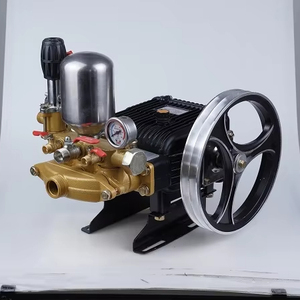 Bomba pulverizadora eléctrica de pesticidas portátil para agricultura, bombas pulverizadoras automáticas de potencia de Motor agrícola - Product Image 2