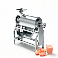 RVS grote capaciteit fruit- en groentepulper, sapcentrifuge, extractor machine