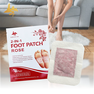 自然な中国のハーバルフットパッチデトックスヘルスケア製品身体浄化機能付き - Product Image 1