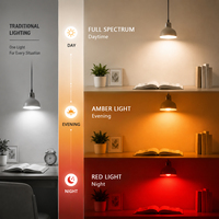 Lampu LED Merah 3 Mode Warna 100~240V, Basis E14/E26/E27/B22, 5W/7W/9W, A19, Pencahayaan Interior Dekoratif, Bersertifikasi RoHS, Garansi 2 Tahun