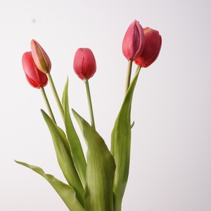 High Quality Artificial Latex Tulip Flower Bouquet Pe Tulip Flower 5 Heads Real Touch Tulip - Product Image 2