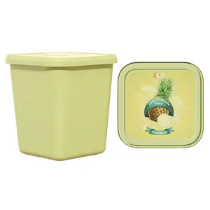 China Hersteller Lieferant Fabrik preis gefroren In Form Etikettierung 180mm 4 Liter Quadrat Lang körper PP Gelato Aufbewahrung sbox