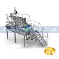 Machine à pâtes en spirale à double coupe en acier inoxydable Fonctionnement automatique élevé Capacité de 50-200 kg/h Moteur sans gluten pour petits