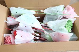 干燥绣球花保存白色永恒花天然绣球花勃艮第绣球花 - Product Image 6