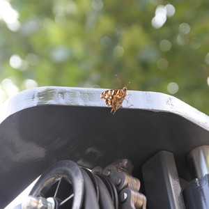 Siêu giá trị fanyu cpd25 1.5 5-tấn xe nâng điện 4WD cho trong nhà/ngoài trời sử dụng trong nhà kho - Product Image 5