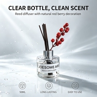 Diffuseur de parfum en gros pour usine, OEM, marque privée, emballage personnalisé, diffuseur d'arômes pour la maison