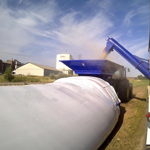 Les meilleures balles d'ensilage de foin de luzerne de très haute qualité pour l'alimentation des animaux-à haute teneur en protéines pour les bovins et les chevaux - Product Image 6
