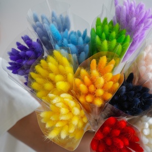 M85 fiori secchi colorati coniglietto <span class=keywords><strong>piante</strong></span> floreali coniglio erba Bouquet decorazione per la casa accessori foto naturale Lagurus Ovatus - Product Image 6