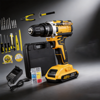 Kit combiné d'outils électriques sans fil 21V, perceuse à percussion compacte, tournevis à batterie lithium, ensemble d'outils à main pour la maison